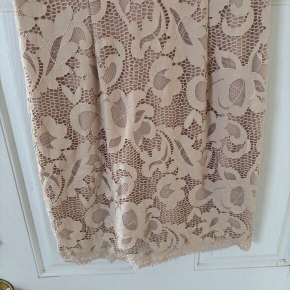 Sans Souci Dress Womens XL Floral Lace Sleeveless Blush Coquette Bohemian Dainty - Picture 6 of 10